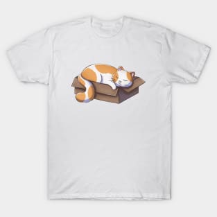 Cat Sleeping In Box T-Shirt